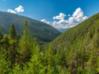 Rondane Nasjonalpark